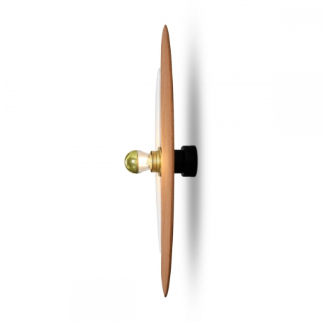 Накладной светильник Freya Carry FR5487WL-01G2