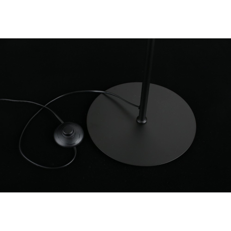 Торшер с Led лампочками в комплекте APLOYT APL.312.05.04+Lamps 