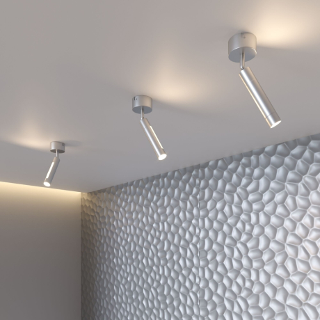 Спот Eurosvet Strong 20084/1 LED серебро 