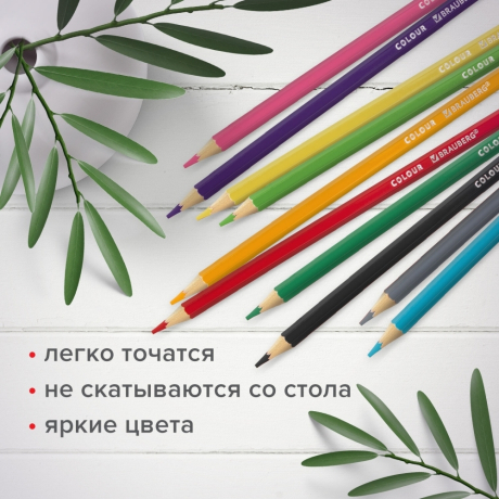Нарушена упаковка!  <402395> Карандаши цветные мягкие BRAUBERG АКАДЕМИЯ, 24 цвета, шестигранные, грифель 3 мм, 181866 (181866)