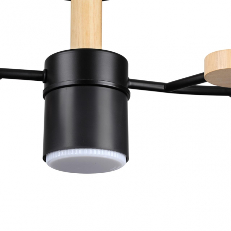 Потолочная люстра Lumion Crypto 8194/5C 