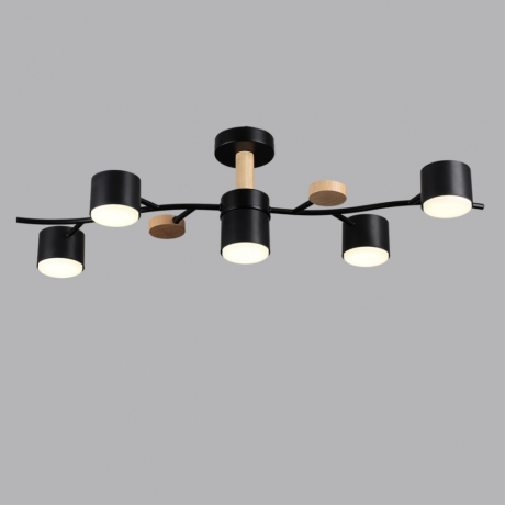 Потолочная люстра Lumion Crypto 8194/5C 