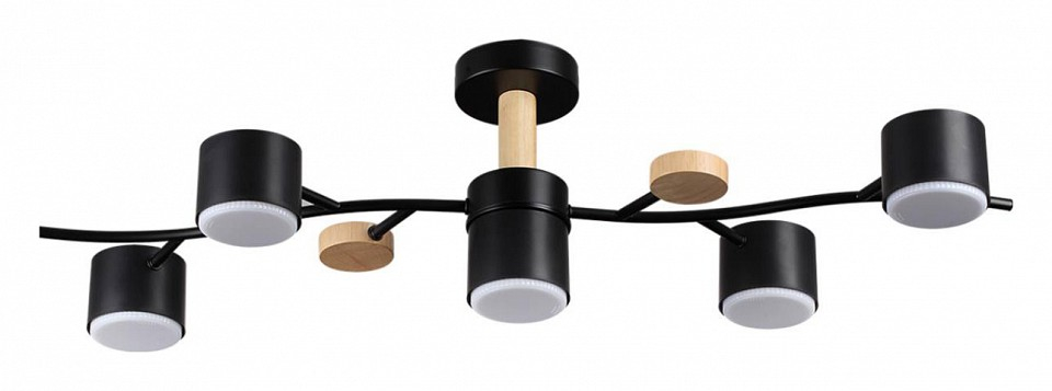 Потолочная люстра Lumion Crypto 8194/5C 