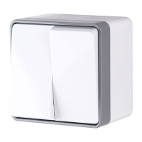 Выключатель двухклавишный влагозащищенный Werkel Gallant (слоновая кость) WL15-03-02