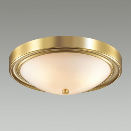 Настенно-потолочный светильник Lumion Nina 5259/3C 