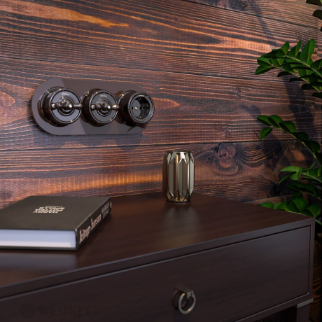 Выключатель на 4 положения двухклавишный без рамки Werkel Ретро (коричневый) W5620014