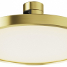 Накладной светильник Maytoni Technical Plato TR153-1-10W3K-BS