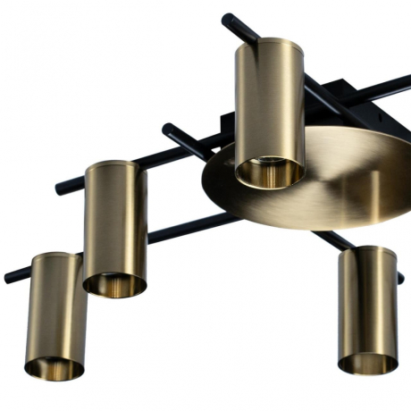 Потолочная люстра Loft it Tribes 8120C-6 