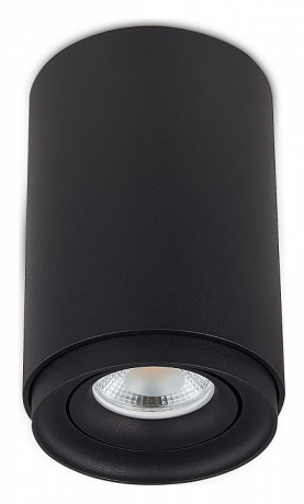 Накладной светильник SIMPLE STORY 2065 2065-1CLB 