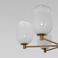 Люстра на штанге со стеклянными плафонами Eurosvet Loona 60161/6 (a065611)