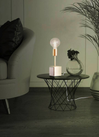 Настольная лампа Eglo Carmita 390169