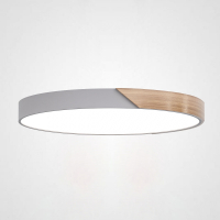 Потолочный светильник Clip Grey D50 ImperiumLoft CLIP01 (193053-26)