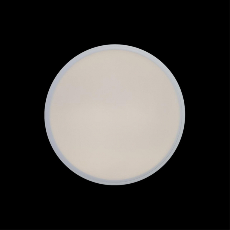 Накладной светильник Loft it Axel 1 10002/12 White 