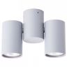 Спот Arte Lamp Gavroche A1511PL-2GY 