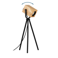 Настольная лампа декоративная Eglo Ayles 43749