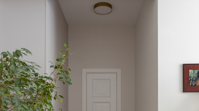 Накладной светильник Maytoni Technical Zon C032CL-36W4K-RD-MG 