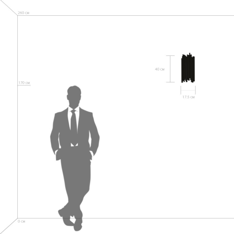 Накладной светильник Lightstar Savona 816622 