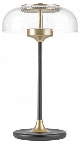 Настольная лампа декоративная Lightstar Acrile 738973 