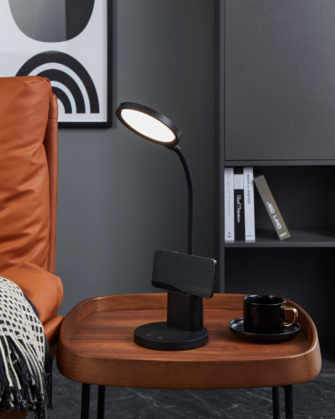 Настольная лампа Eglo Brolini 900528 