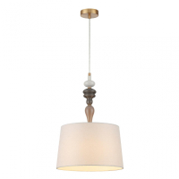 Подвесной светильник Odeon Light Homi 5040/1