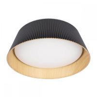 Накладной светильник Loft it Evans 10224 Black