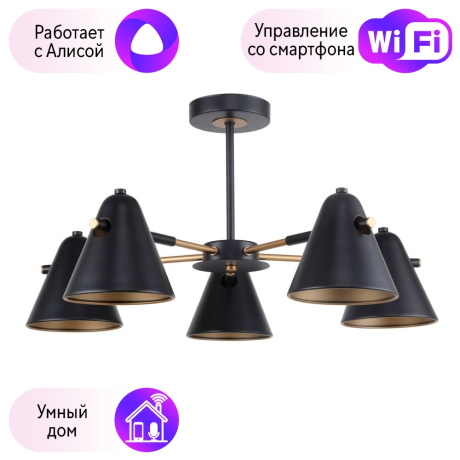 Люстра на штанге F-Promo Rigor с поддержкой Алиса 2844-5P-A 