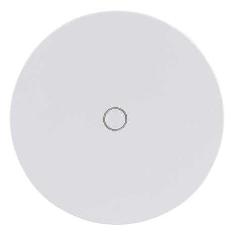 Накладной светильник Arte Lamp Nimbo A4506AL-1WH