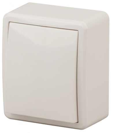 Выключатель одноклавишный ЭРА Эксперт 10AX 250V 11-1201-02 Б0020655