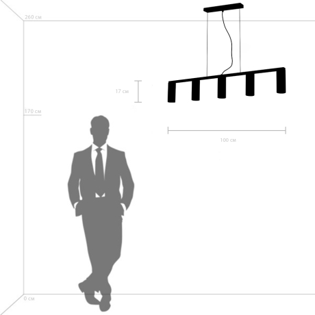 Подвесная люстра Lightstar с поддержкой Алисы, Roma 718057 