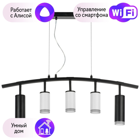 LR7358723630 Подвесной светильник Rullo Lightstar с поддержкой Алисы, (комплект из 571735+214436-3+214487-2+202430-5) 