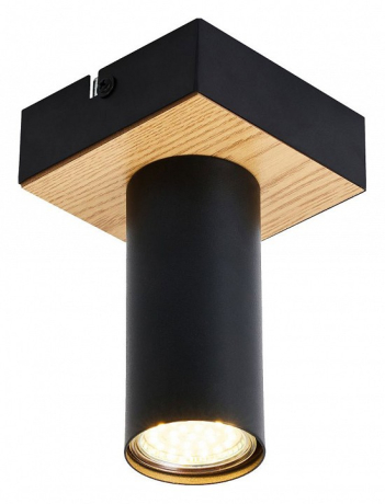 Накладной светильник F-promo Olson 4431-1C 