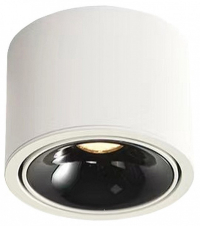 Накладной светильник Wertmark WTA.O06 WTA.O06.067.30.12