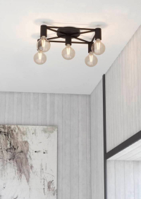 Накладной светильник Eglo Speke 43721