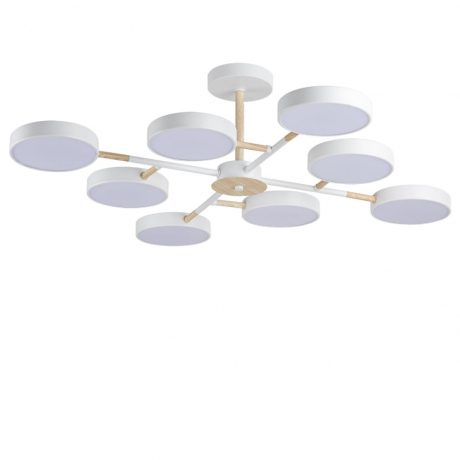 Люстра на штанге Lumion Brad 5653/99CL 