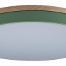 Накладной светильник Loft it Axel 10001/36 Green 