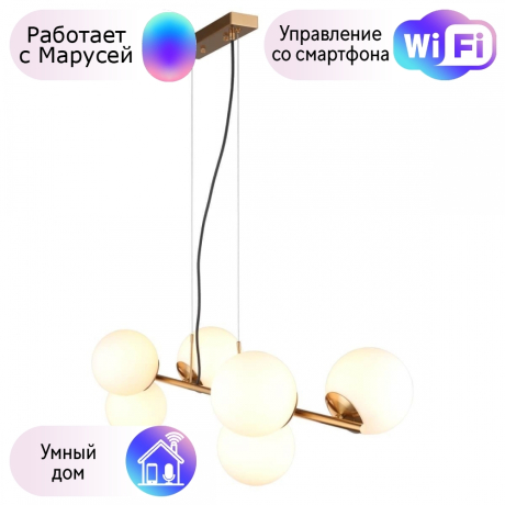 Люстра с поддержкой Маруси подвесная Omnilux OML-66623-06-M 