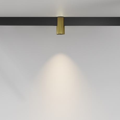 Накладной светильник Maytoni Technical Alfa TR122-2-7W3K-BS