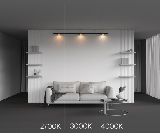 Накладной светильник Maytoni Technical Zon TR189-1-12W4K-BBS 