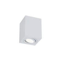 Накладной светильник Maytoni Technical Atom C017CL-01W