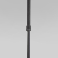 Светильник на штанге Eurosvet Pacific 50255/1 титан