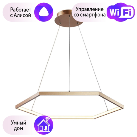 Подвесная светодиодная люстра Favourite Hexagon с поддержкой Алиса 2103-6P-A 