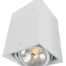 Накладной светильник Arte Lamp Cardani A5936PL-1WH 