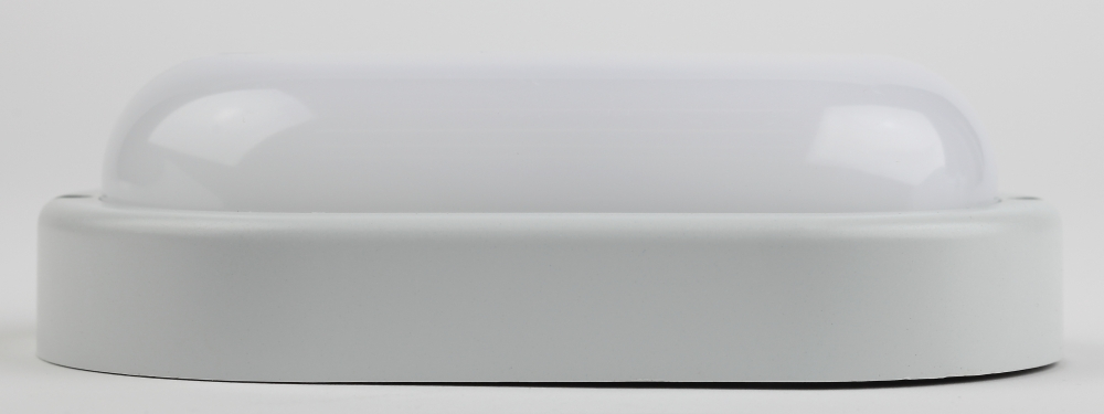 Светильник ЖКХ светодиодный Эра SPB-202-0-40K-012 (Б0047621)