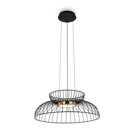 Подвесной светильник Freya Citrus FR5398PL-L6B