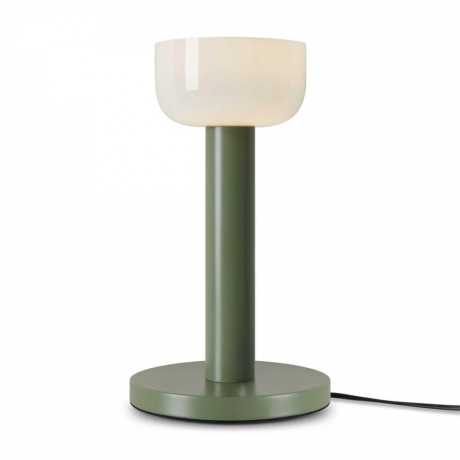 Настольная лампа декоративная Freya Barries FR6185TL-L5GN 