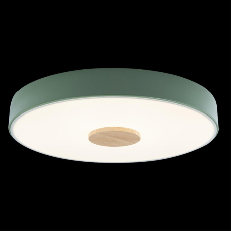 Накладной светильник Loft it Axel 2 10003/24 Green 