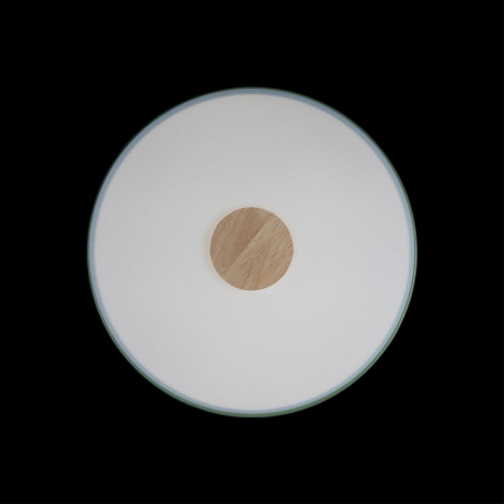 Накладной светильник Loft it Axel 2 10003/24 Green 