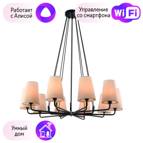 Подвесная люстра Favourite Pfefferling с поддержкой Алиса 2364-10P-A 