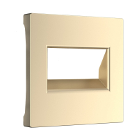 Накладка для розетки Ethernet RJ-45 Werkel шампань W1191111