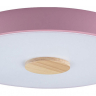 Накладной светильник Loft it Axel 2 10003/24 Pink 